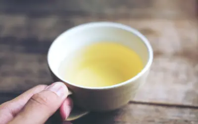 Té blanco: el té más delicado para quienes buscan suavidad